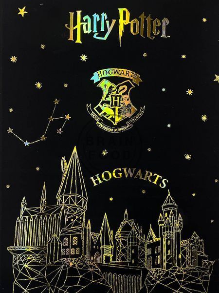 Винтажный блокнот на кольцах Harry Potter id_5018 фото