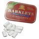 Жувальна гумка Barkleys Chewing Gum Peppermint 22 шт 30 г id_4292 фото
